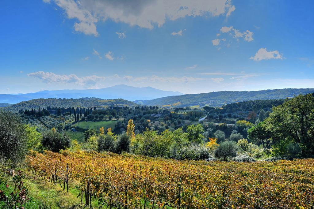 Agriturismo Fraschetta Montalcino Bagian luar foto