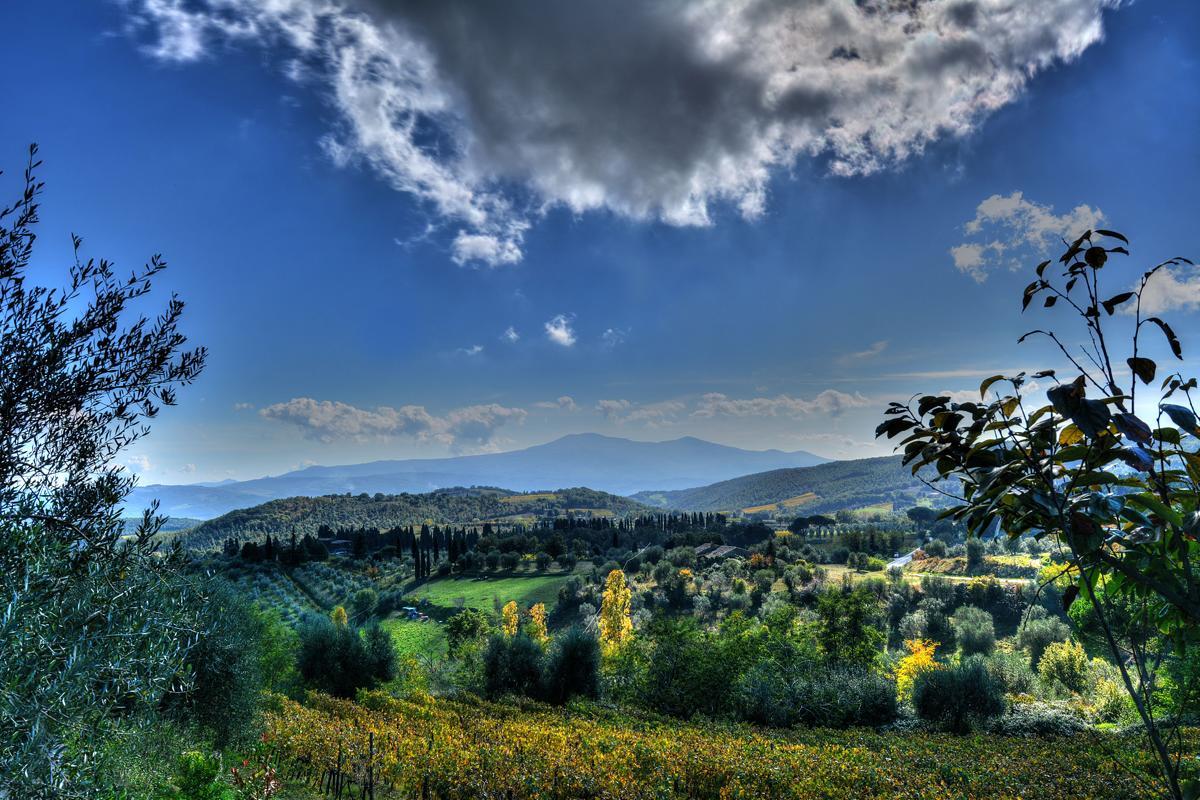 Agriturismo Fraschetta Montalcino Bagian luar foto
